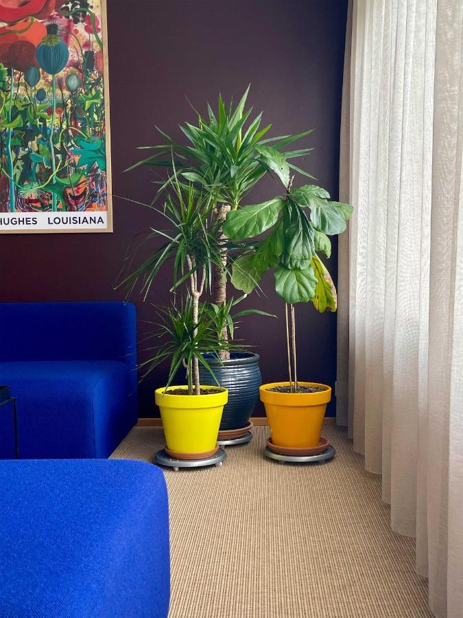 Matkrain Apartments Hveragerdi Eksteriør billede